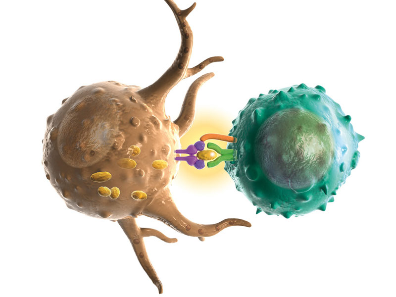 IMMUNOLOGIE