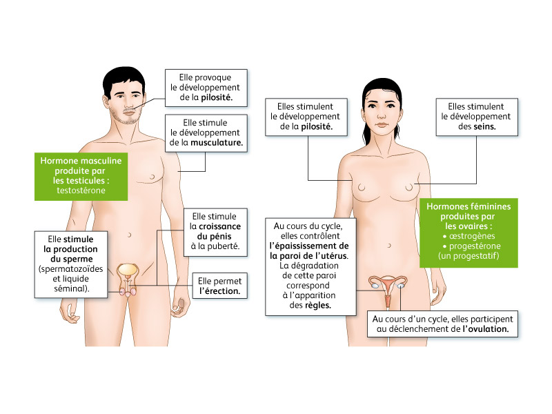 Sexualité et reproduction