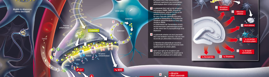 illustration-medicale-scientifique-didactique-depression