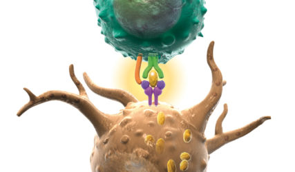 illustration-medicale-scientifique-immunologie-lymphocyte-antigene-tumorale-cellule-dendritique