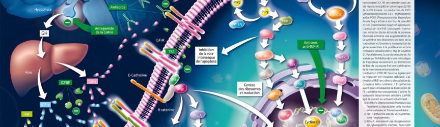 illustration-medicale-scientifique-oncologie-cancers-oncogenese-recepteur-presse-magazine