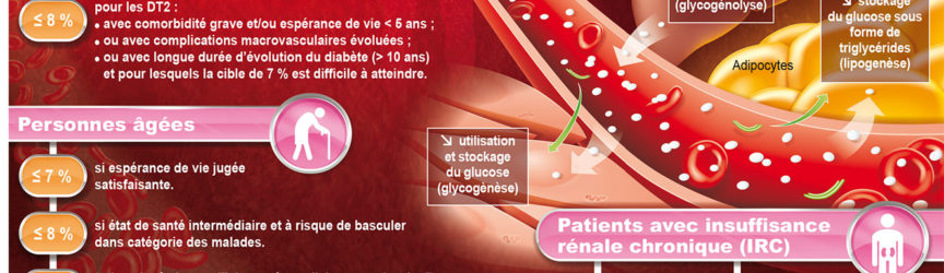 illustration-scientifique-medicale-diabete-glycemie-glucose-lipogenese